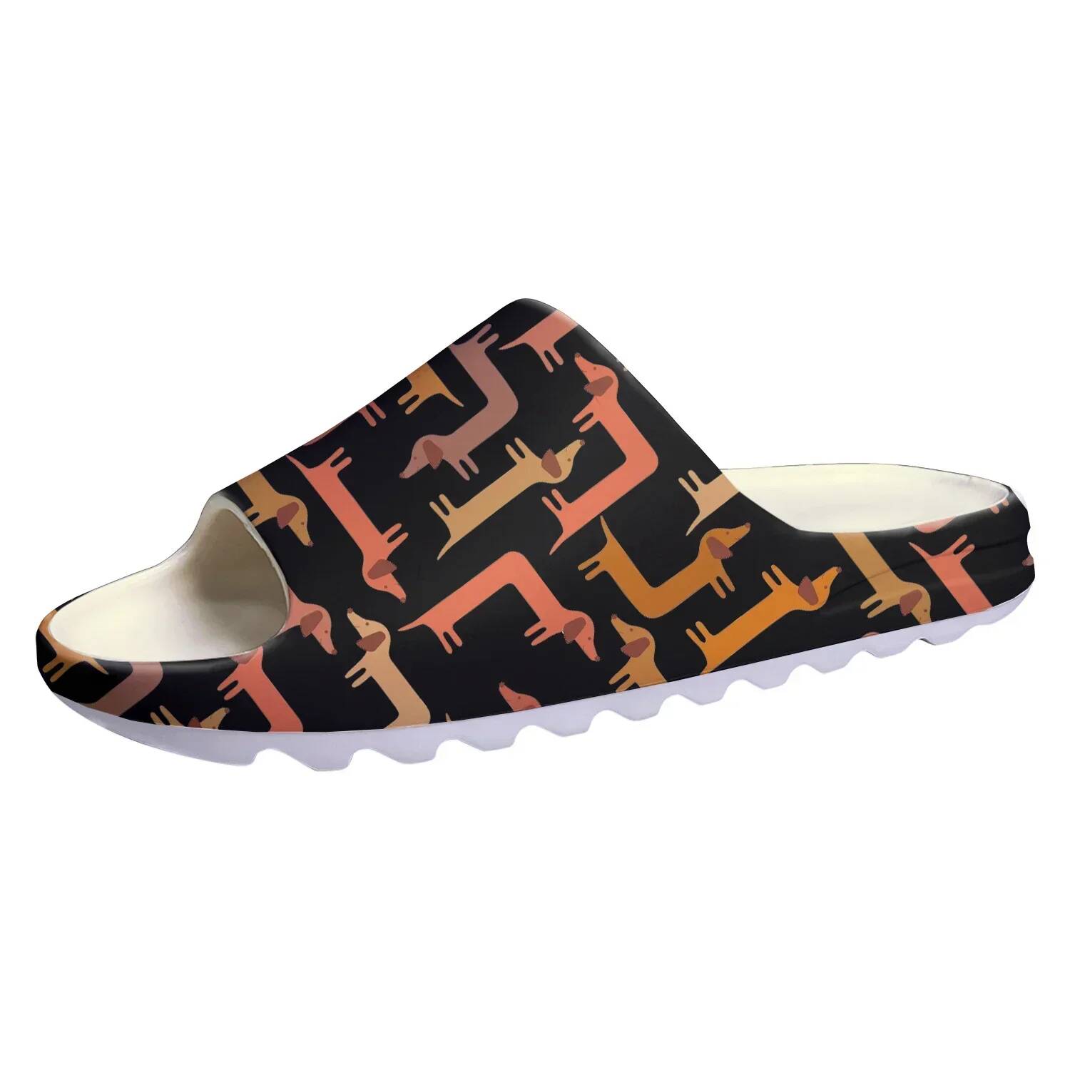 Cute Dachshund Print Soft Sole - đánh giá và giá Water Shoes