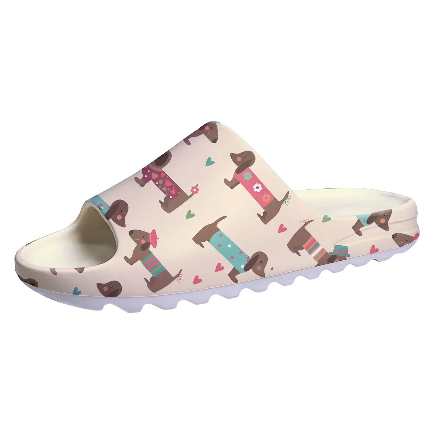 Cute Dachshund Print Soft Sole - đánh giá và giá Water Shoes